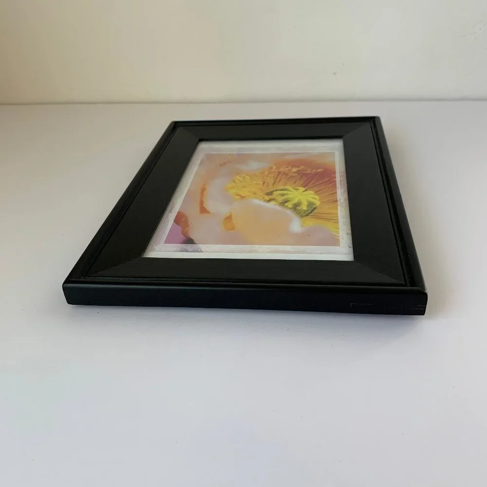Ikea Framed Poppy Print Hanging Picture Black Frame 7x9 Wall Art